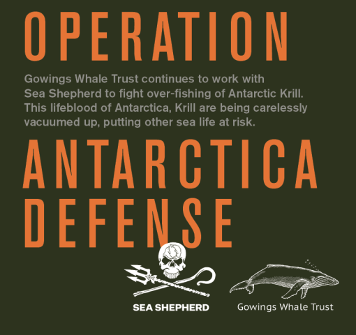 GWT Antarctica Defense - Click here for more information